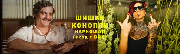 молекула духа Нефтекумск
