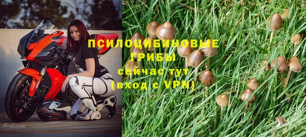 стафф Нея